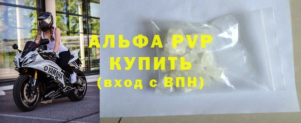 СК Каменка