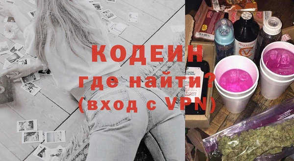 СК Каменка