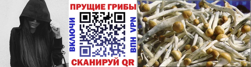 Галлюциногенные грибы Magic Shrooms  Купить закладки  Кунгур 